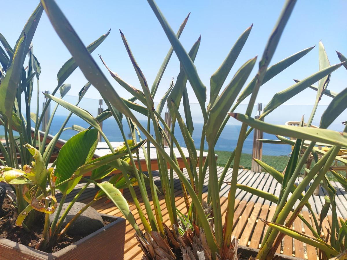 Penthouse La Palmita - Tazacorte, La Palma Εξωτερικό φωτογραφία